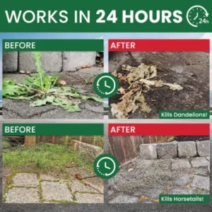 YOBENSUN® Weed Destruction Powder