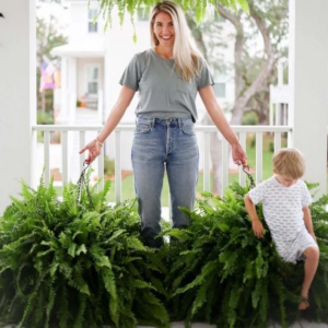 🔥On Sale Only Today 🌱 UV-Resistant Lifelike Artificial Boston Fern