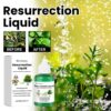 👍[Recommended by plant experts]🌿Plant and Flower Activation Liquid Solution🔥Buy 3 Get 5 Free💥
