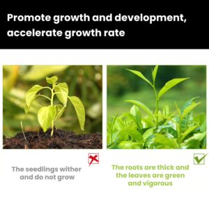 👍[Recommended by plant experts]🌿Plant and Flower Activation Liquid Solution🔥Buy 3 Get 5 Free💥