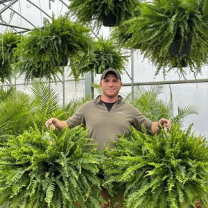 🔥On Sale Only Today 🌱 UV-Resistant Lifelike Artificial Boston Fern