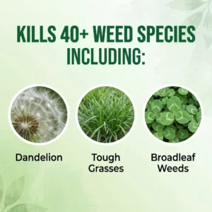 🔥 Advanced 2-in-1 Pro+ Herbicide | Upgraded Formula for 6-Hour Rapid Kill, Root Eradication & Destroys Glyphosate-Resistant Weeds