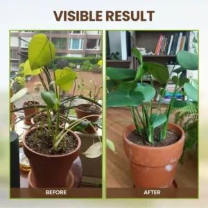 2026🏆✨LAST DAY SALE 70% OFF🔥Seasonal Promotion🔥-Soil Activator