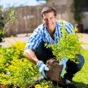 2026🏆✨LAST DAY SALE 70% OFF🔥Seasonal Promotion🔥-Soil Activator