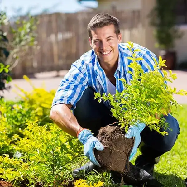2026🏆✨LAST DAY SALE 70% OFF🔥Seasonal Promotion🔥-Soil Activator