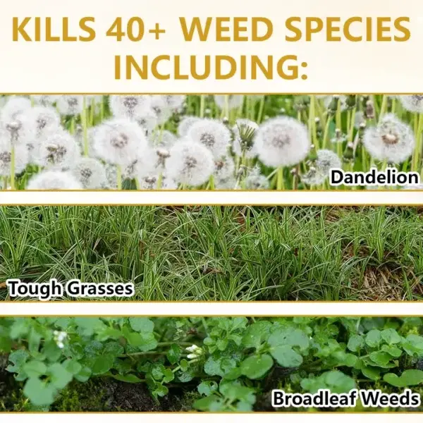 Timilk® 2-in-1 Herbicide 2026 | Fast Weed Killer
