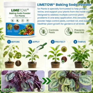 LIMETOW® Baking Soda Powder for Plants