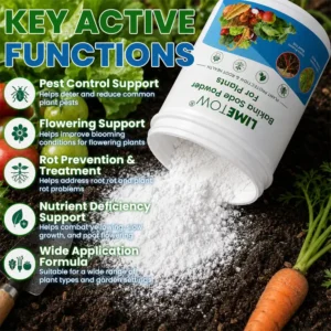LIMETOW® Baking Soda Powder for Plants