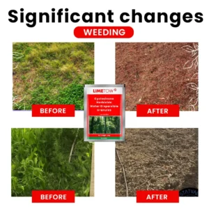 LIMETOW® Cyclosinone Herbicide Water Dispersible Granules
