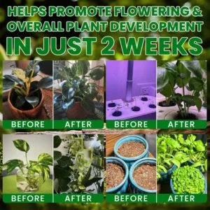 LIMETOW® Plant Nutrient Beads
