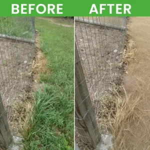 LIMETOW® Root Rot Powder